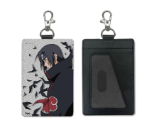 10. Pass case