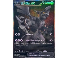 09. Zekrom ex (BWR)