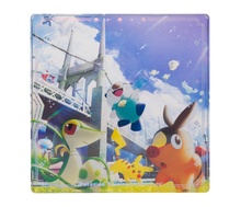 13. Acrylic Block - Unova
